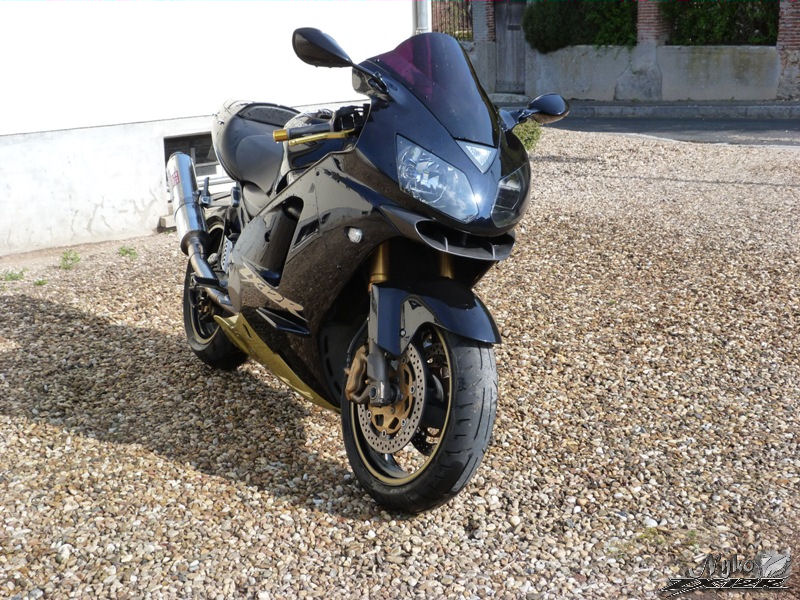 NY•*¨*•.¸♬︎ ZX-12R à Nyko45